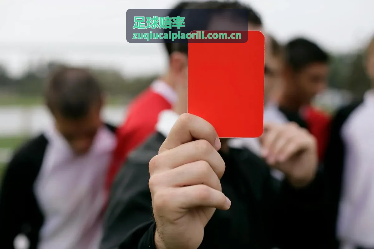 赔率离散度分析 - 足球赔率